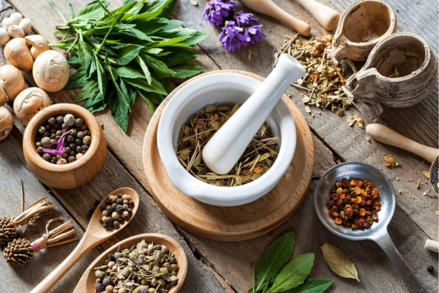 Ayurvedic Scholar